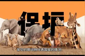 头条里说的各类动物代表什么国家，不知道的进！！！图片