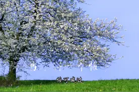 犯了错误，自责内疚悔恨，心里纠结难受图片