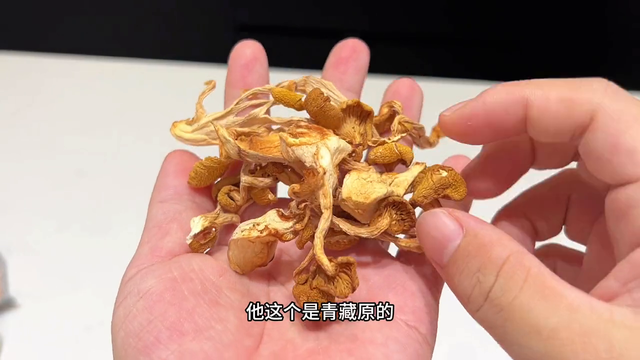 产妇可以吃鸽子炖花胶 2026年坐月子可以喝花胶鸽子汤吗 产妇可以吃鸽子炖花胶 2026年坐月子可以喝花胶鸽子汤吗