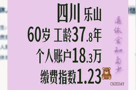 四川乐山个人账户18.3万 工龄37.8年 60岁退休金计算图片