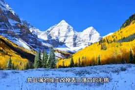 她在元辰宫找到了方向图片