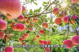 智慧之果——小狐狸的智慧图片