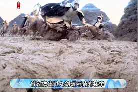 北凉王府隐藏了哪些高手？老黄根本不够看，李淳罡也不是第一！图片