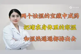 两个祛湿的宝藏中成药，把堵在身体里的寒湿和湿热通通都排出去图片