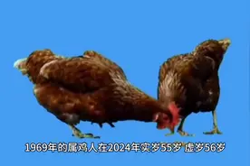 69年属鸡人龙年运势 娱乐#国学文化图片