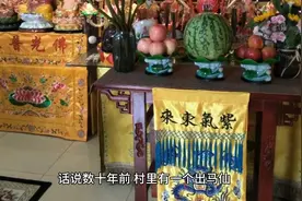 胡三太爷图片