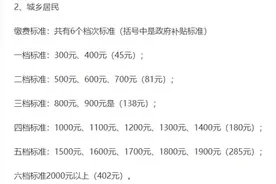 城乡居民养老保险缴费标准图片