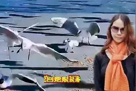 男人们，当你们遇到老婆查岗了，会怎么应付？图片