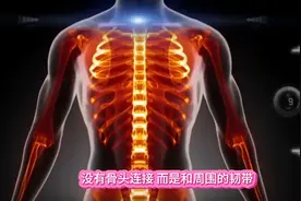 人的屁股为什么总是凉的#是时候给大家爆点料了图片