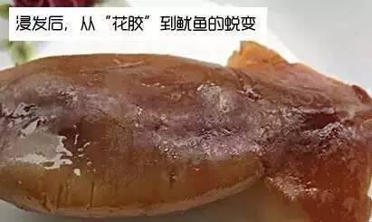 花胶开水一烫会烂掉什么情况 2026年花胶热水烫过后软绵绵的是怎么回事