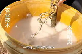 1克吡虫啉兑多少公斤水？图片