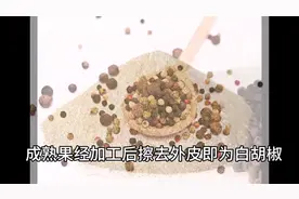 每日一味中药——胡椒图片