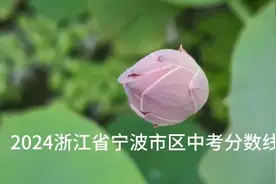 2024浙江省宁波市市区中考分数线图片