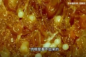 吃不熟的猪肉，体内长满寄生虫，长达7米图片