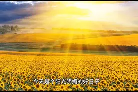 小猪佩奇之放风筝   睡前小故事来啦！图片