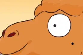 骆驼肉是个什么味？中东大沙漠连根草都不长，人们穷的叮当响图片