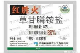 能斩草除根的除草剂有哪些？图片