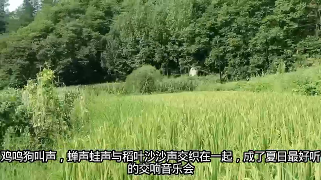 秦岭山里美丽的乡村风，浓郁的生机，满眼满心的舒适