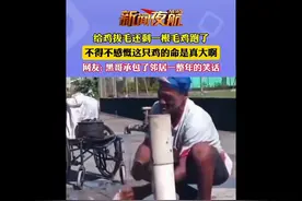 给鸡拔毛还剩一根毛鸡跑了，不得不感慨这只鸡的命是真大啊图片