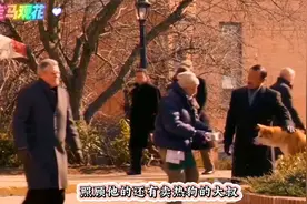 #人与狗的感人故事图片