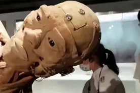 通辽魔医揭秘：日寇活体剥皮，上千人体标本震惊曝光！图片