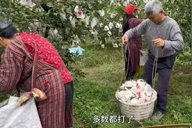 柑橘类一定不要尝鲜！给大家详细解读一下“脱酸剂”图片