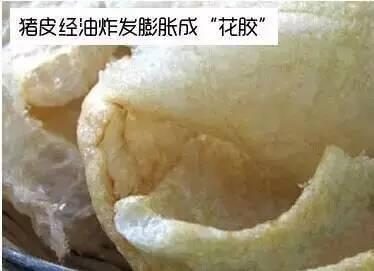 哪里能买到正宗的花胶 2026年哪里可以买到正宗的花胶