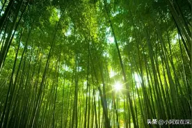 公司就我和老板两个人，老板甩手掌柜，公司一年纯利100...图片