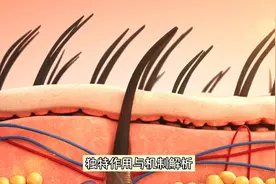 维生素 b 2与 b 6在治疗脂溢性皮炎中的独特作用与机制解析图片