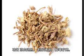 每日中药—白薇图片