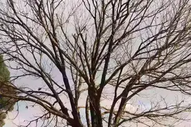 图书馆看书遇上个女孩，感觉对我也有好感，加微信为什么会...图片