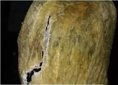 花胶开水一烫会烂掉什么情况 2026年花胶热水烫过后软绵绵的是怎么回事