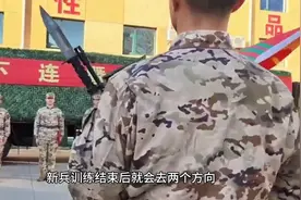 新兵下连会分配到哪些岗位？图片