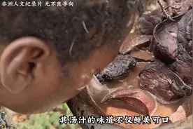 非洲哈扎部落男人为了妻儿能吃上肉，纷纷出门抓婴猴 #原始部落图片