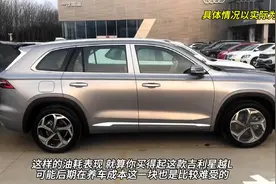 最费油的三款国产SUV，新车一块钱一公里，买得起养不起...图片