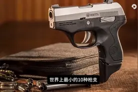 世界上最小的10种枪支图片