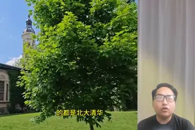 数学从不辜负任何一个天才——姜萍图片