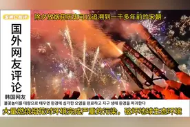 除夕放烟花震撼到国外网友图片