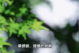 男科诸症：以虫入药，走窜通络，无孔不入图片