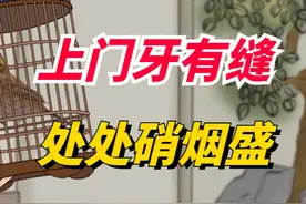 “上门牙有缝，处处硝烟盛”，老祖宗的识人术，有什么道理？