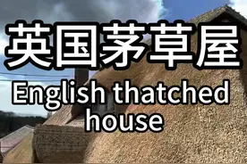 英国中世纪茅草屋建造工艺流传至今 英国工匠用麦秸建造茅草屋全过程，这种建造技术建出来的房子冬暖夏凉不漏水，已经流行了几百年，一直延续至今还在建造，都是百年工程。#茅草屋 #解压  #农村自建房 #英国视频封面