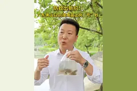 防蚊出新招！广东佛山5200尾鱼苗上岗“吃”蚊（记者：潘禹杰、刘宏宇、徐弘毅）#秀我中国