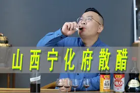 山西宁化府的散醋是什么水平，门市价3块9一斤 #一波说酒视频封面
