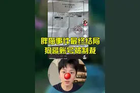 胖猫事件最终结局，狗哥账号被制裁#王者视频封面