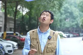 原来路边的樟树有这么多的妙用！#樟树 #家庭种植