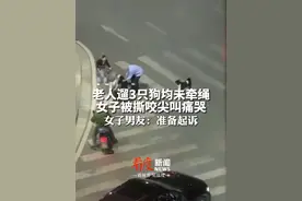 老人遛3只狗均未牵绳，女子被撕咬尖叫痛哭！双方后续医疗赔偿未达成一致，将走法律程序 #老人遛3只狗均未牵绳女子被咬伤  #热点新闻事件视频封面