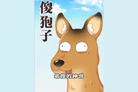 冰天雪地冷风吹，带你认识一下东北神兽之一的傻狍子！ #轻漫计划 #冷知识 #动物世界