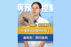 传播#基孔肯雅热 的#伊蚊  #四川 也有 是#白纹伊蚊 #广东视频封面