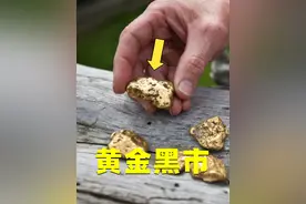 巴布亚的黄金黑市，到底有多疯狂？河里淘金黑市当场变现！ #科学#科普#知识#黄金 #淘金