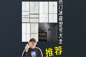 2024最全最有收藏价值的制冰冰箱型号分析 #家电#冰箱#冰箱推荐